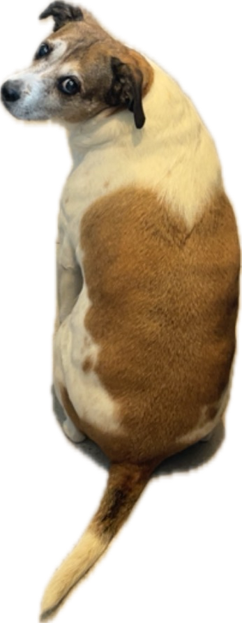 nina
